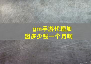 gm手游代理加盟多少钱一个月啊