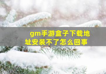 gm手游盒子下载地址安装不了怎么回事