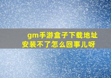 gm手游盒子下载地址安装不了怎么回事儿呀