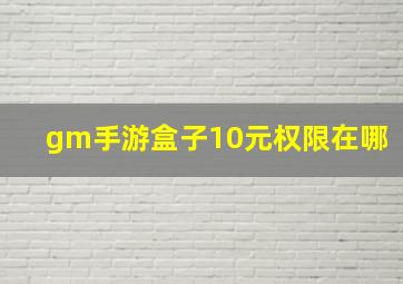 gm手游盒子10元权限在哪