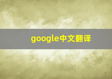 google中文翻译