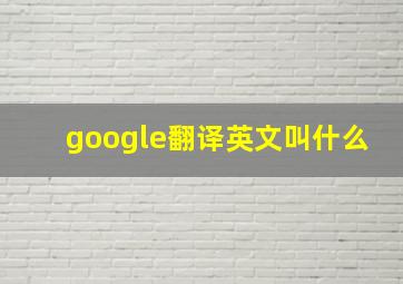 google翻译英文叫什么