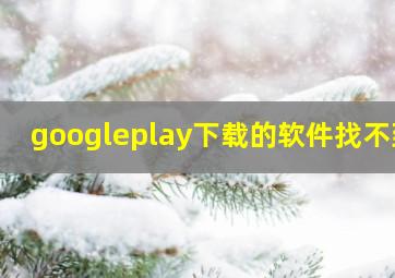 googleplay下载的软件找不到