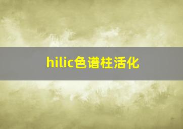 hilic色谱柱活化