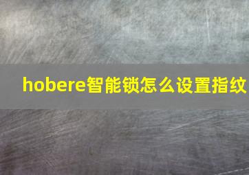 hobere智能锁怎么设置指纹