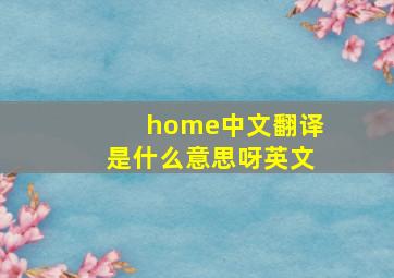 home中文翻译是什么意思呀英文