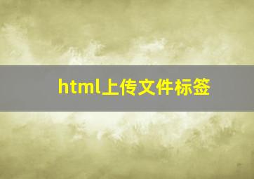 html上传文件标签