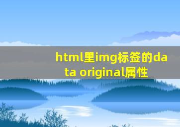 html里img标签的data original属性