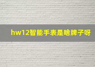 hw12智能手表是啥牌子呀