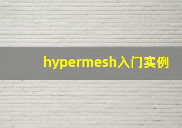 hypermesh入门实例