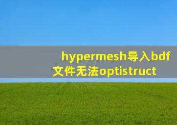 hypermesh导入bdf文件无法optistruct