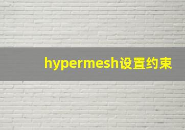 hypermesh设置约束