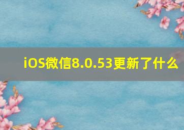 iOS微信8.0.53更新了什么