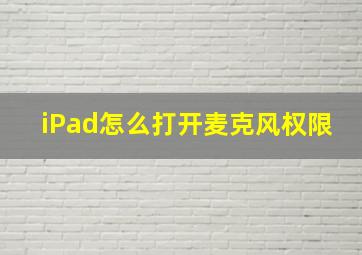 iPad怎么打开麦克风权限