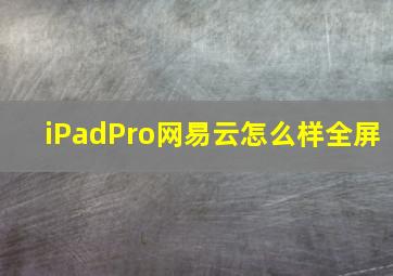 iPadPro网易云怎么样全屏