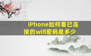 iPhone如何看已连接的wifi密码是多少