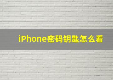 iPhone密码钥匙怎么看