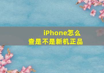 iPhone怎么查是不是新机正品