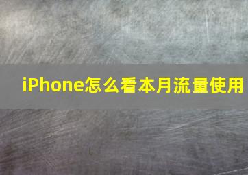 iPhone怎么看本月流量使用