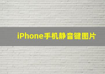 iPhone手机静音键图片