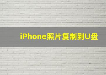 iPhone照片复制到U盘