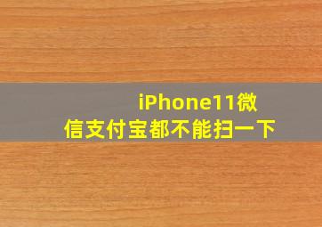 iPhone11微信支付宝都不能扫一下