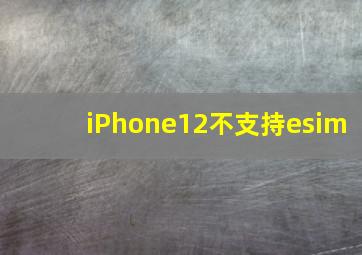 iPhone12不支持esim