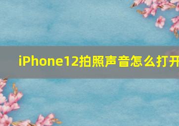 iPhone12拍照声音怎么打开