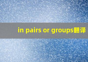 in pairs or groups翻译