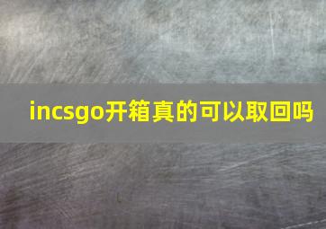 incsgo开箱真的可以取回吗