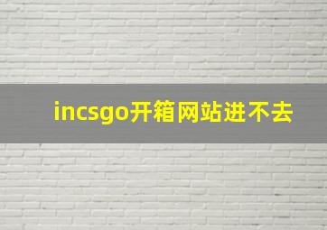 incsgo开箱网站进不去