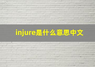 injure是什么意思中文