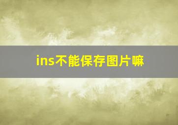 ins不能保存图片嘛