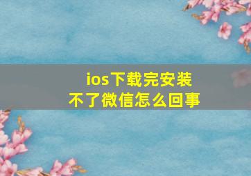 ios下载完安装不了微信怎么回事