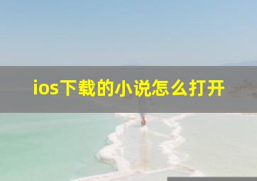 ios下载的小说怎么打开