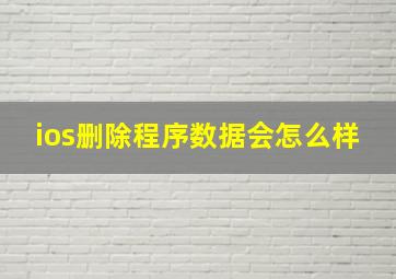 ios删除程序数据会怎么样