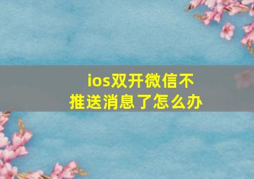 ios双开微信不推送消息了怎么办