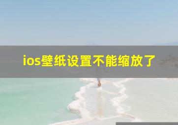 ios壁纸设置不能缩放了