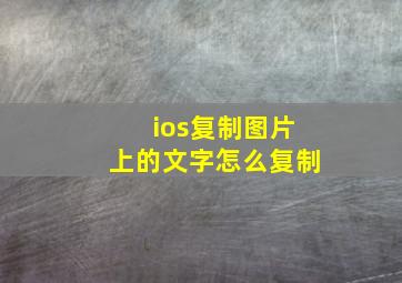 ios复制图片上的文字怎么复制