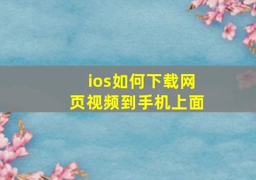 ios如何下载网页视频到手机上面