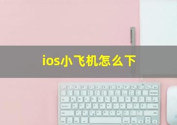 ios小飞机怎么下