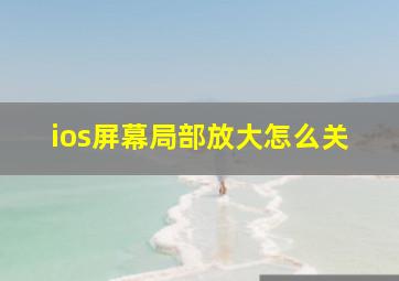 ios屏幕局部放大怎么关