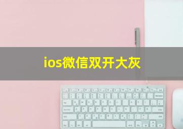 ios微信双开大灰