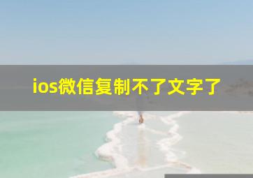 ios微信复制不了文字了