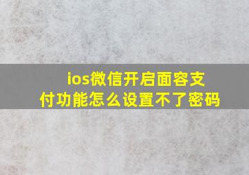 ios微信开启面容支付功能怎么设置不了密码