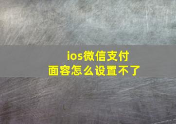 ios微信支付面容怎么设置不了