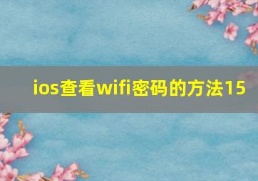 ios查看wifi密码的方法15