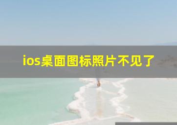 ios桌面图标照片不见了