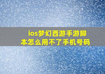 ios梦幻西游手游脚本怎么用不了手机号码