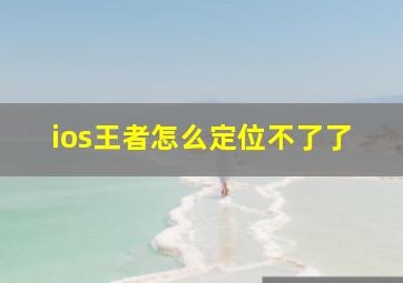 ios王者怎么定位不了了